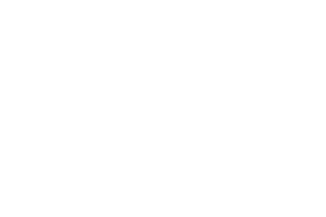 BECOM WHITE