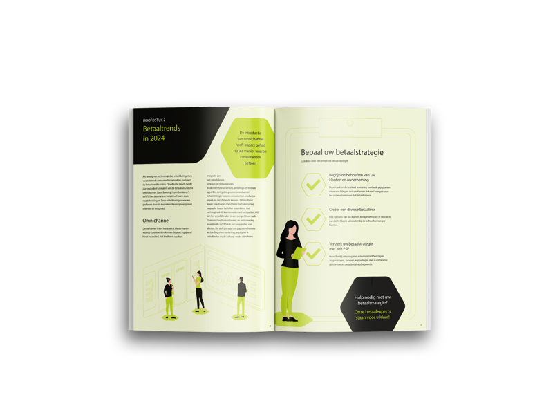 E Book Ideale Betaalstrategie 2024 Mockup Inside